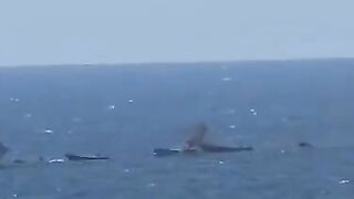 Major drug crackdown by U.S. Marines in the Pacific Ocean!