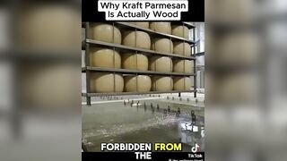 Kraft Parmesan can't melt because it has WOOD in it
