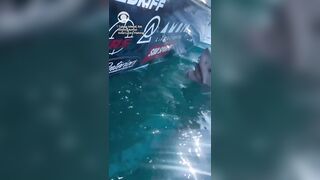 US WOMAN REACHES OUT to PET GREAT WHITE SHARK — it CHARGES at her