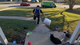 DELIVERY DRIVER HURLS PACKAGE at CAT LYING CALMLY on PORCH in VIRGINIA BEACH