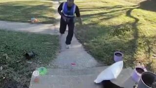 DELIVERY DRIVER HURLS PACKAGE at CAT LYING CALMLY on PORCH in VIRGINIA BEACH