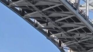 U.S. citizen rescued after jumping from Blue Water Bridge in Canada