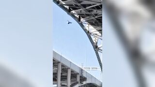 U.S. citizen rescued after jumping from Blue Water Bridge in Canada