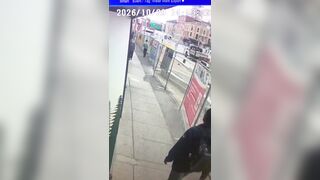 Girl Punched In Random Attack In Canada