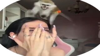 'Pet' Monkey Terrorizes its Owner