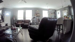 Heavily Pregnant Woman Attacked and Robbed in Her Own Home