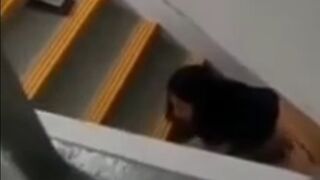 Caught Filipino Maid Having Sex At Staircase