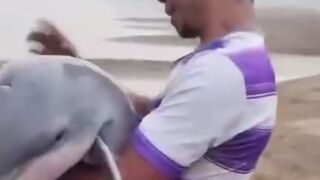 Man Saves Dolphin's Life and gets Greatly Rewarded