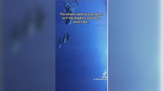 Man Saves Dolphin's Life and gets Greatly Rewarded
