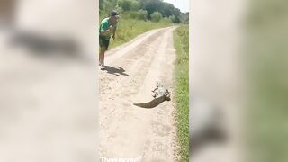 Why? Jerk wants a Knife to Kill Little Caiman Reptile..gets some Quick karma