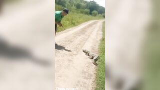 Why? Jerk wants a Knife to Kill Little Caiman Reptile..gets some Quick karma