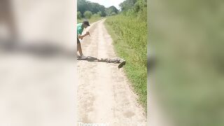 Why? Jerk wants a Knife to Kill Little Caiman Reptile..gets some Quick karma