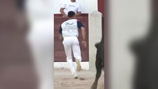Dope Bull Fighting Compilation.