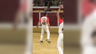 Dope Bull Fighting Compilation.