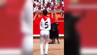 Dope Bull Fighting Compilation.