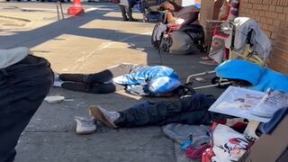 Nothing to See Here... Just a Casual Walk Down a Portland Street.