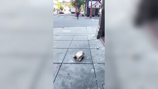 Nothing to See Here... Just a Casual Walk Down a Portland Street.