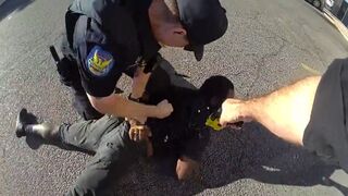 Police Using a Taser and Punching Deaf Man with Cerebral Palsy