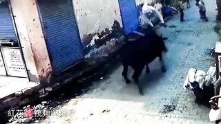 Mean Indian takes on Male Bull in Street Fight.