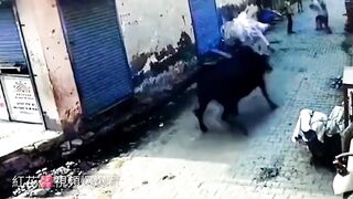 Mean Indian takes on Male Bull in Street Fight.
