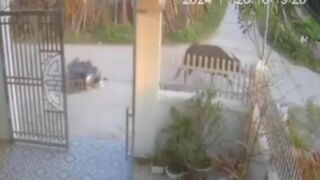 Drive-by Body Pierce