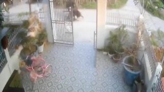 Drive-by Body Pierce