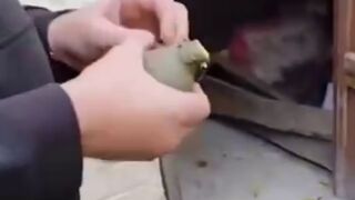 If you've ever wanted to see what happens when you throw a grenade down a well