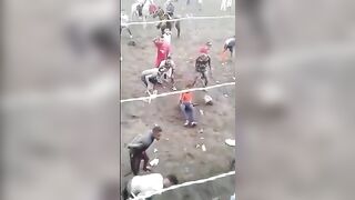 Genius tries to Spear Bull right out of the Gate..Instantly Killed Instead