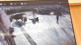 Innocent Girl gets too Close to Giant Bull..What is a bull doing tied up in the City?