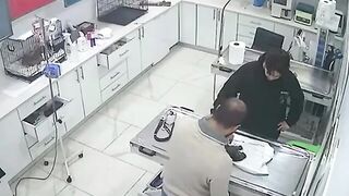 Beautiful Stray Dog brings Her Sick Puppy to the Vet to Save it's Life