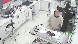 Beautiful Stray Dog brings Her Sick Puppy to the Vet to Save it's Life