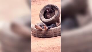 IT'S VERY HARD TO BE THIEF IN BLACK AFRICA