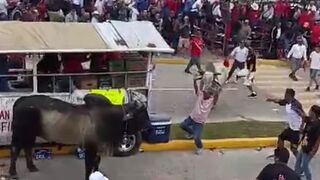 What Friends are For, Man Taunting Bull finds out the Bull has a Friend