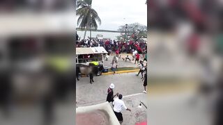 What Friends are For, Man Taunting Bull finds out the Bull has a Friend