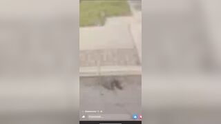 Is this Excessive? Police Officer Fights with a Man and his Baby