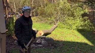 He cuts down a tree and it falls on his partner