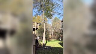 He cuts down a tree and it falls on his partner