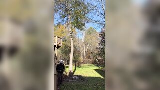 He cuts down a tree and it falls on his partner