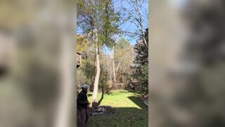 He cuts down a tree and it falls on his partner