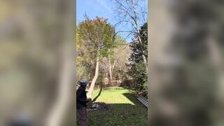 He cuts down a tree and it falls on his partner