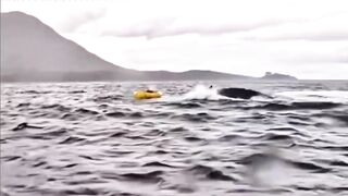 FULL: Father captures his son being swallowed and then expelled by a whale in the Strait of Magellan