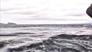 FULL: Father captures his son being swallowed and then expelled by a whale in the Strait of Magellan