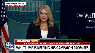 Trump's Lively Lovely Press Secretary Karoline Leavitt goes Off on US Gov't FRAUD