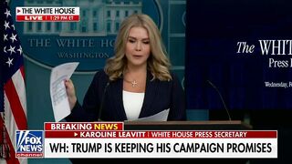 Trump's Lively Lovely Press Secretary Karoline Leavitt goes Off on US Gov't FRAUD