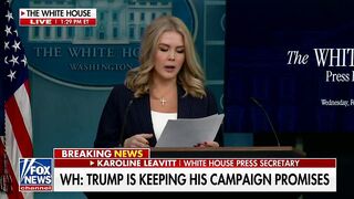 Trump's Lively Lovely Press Secretary Karoline Leavitt goes Off on US Gov't FRAUD