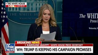 Trump's Lively Lovely Press Secretary Karoline Leavitt goes Off on US Gov't FRAUD