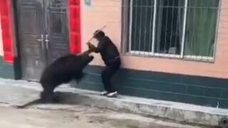 Chinese woman attacked by wild boar