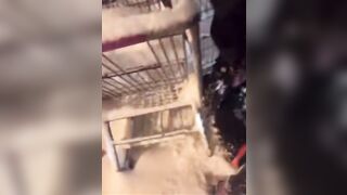 Infuriating Video Shows Homeless Asian Woman Terrorized and Beaten by Subhuman Thug.