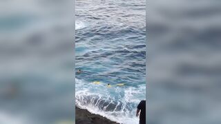 On Camera, Tourist Dies After Jumping Off 50-Foot Cliff In Hawaii