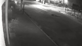 Drunk Woman Crying for Attention gets More than She Bargained For. Watch